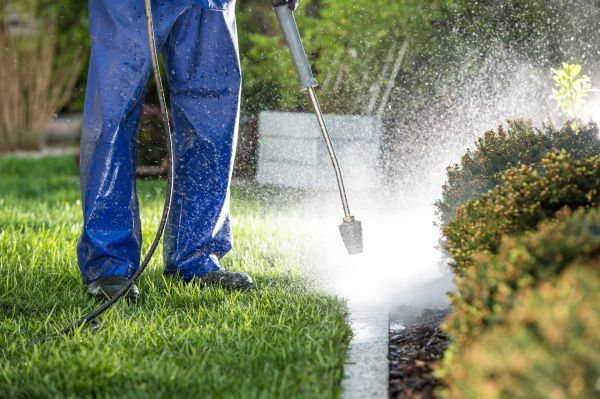 Cost of Curb Cleaning in Naperville