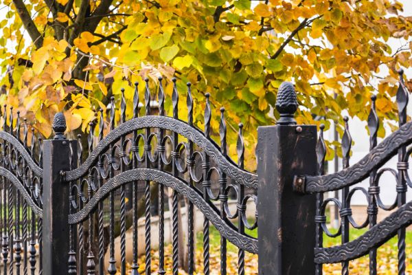 Cost of Wrought Iron Fence Washing in Naperville