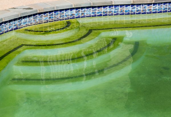 Cost of Pool Deck Algae Removal in Naperville