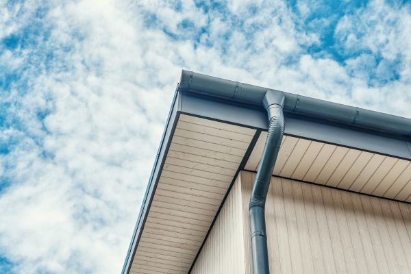 Fascia Washing in Naperville