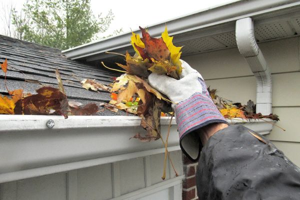 Cost of Eaves Cleaning in Naperville