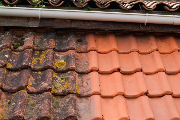 Industrial Roof Cleaning in Naperville