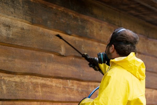 Cedar Siding Washing in Naperville